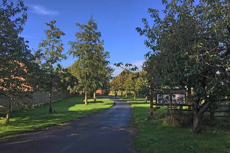 Playing Field Photos